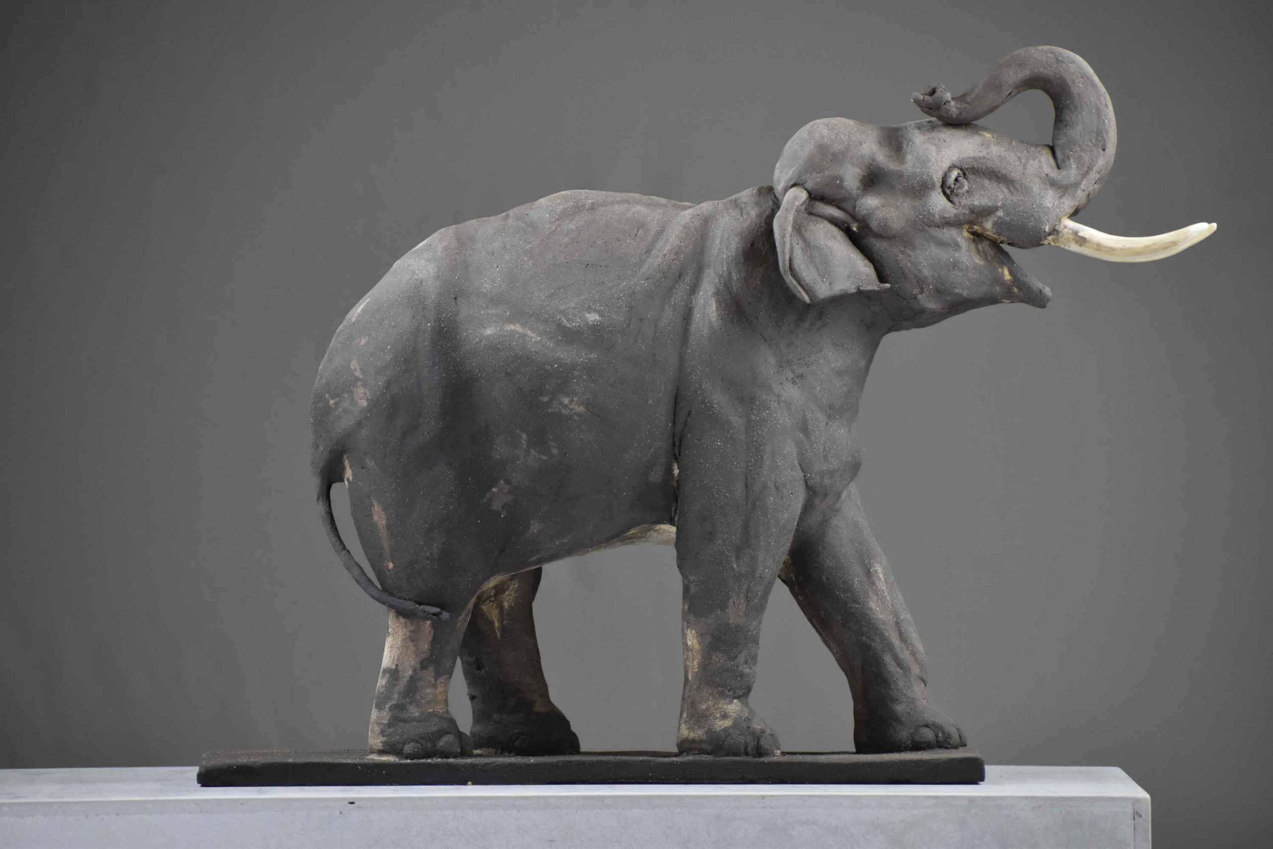 Eléphant d'Asie, sculpture, terre cuite.
