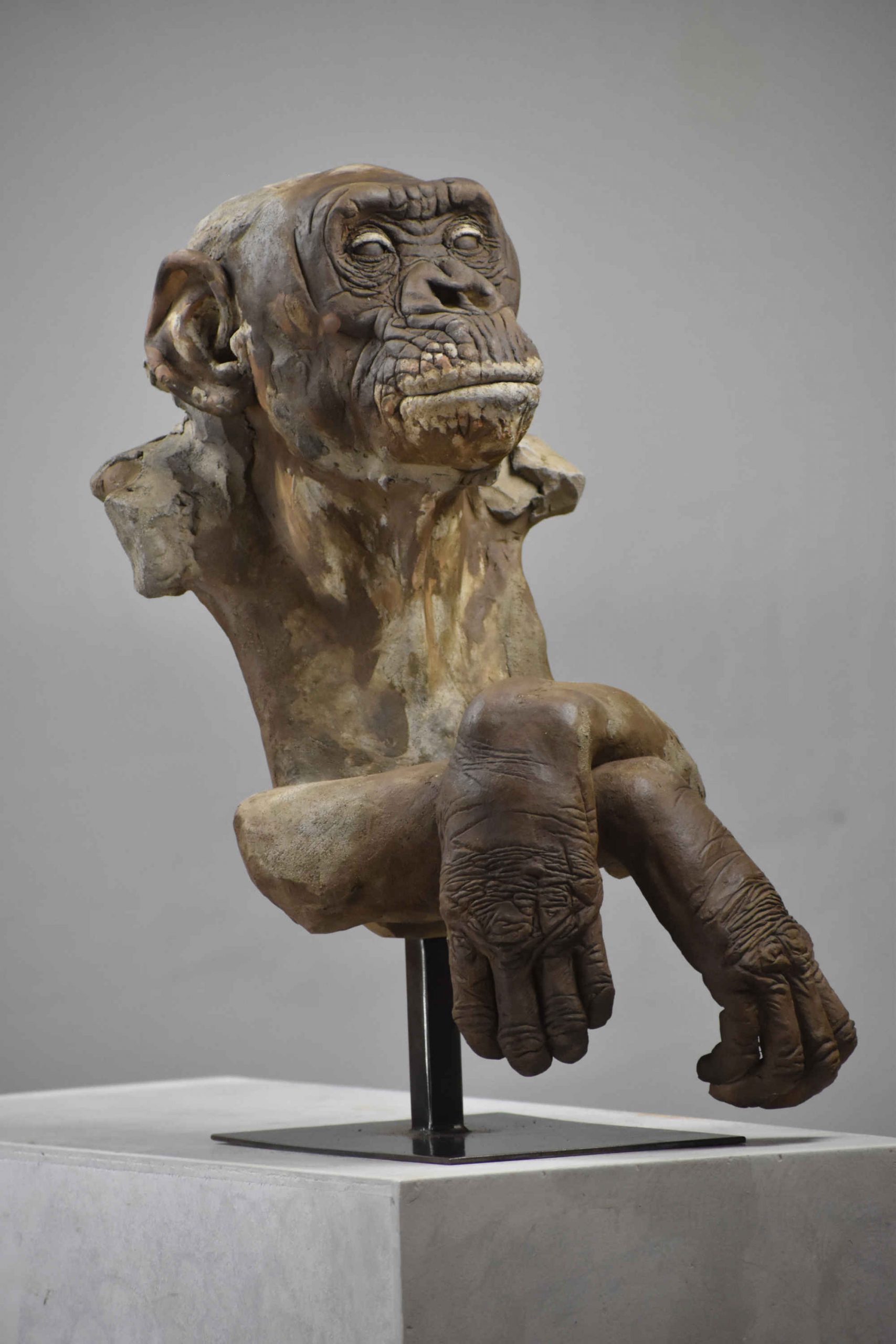 Bonobo, sculpture, terre cuite.